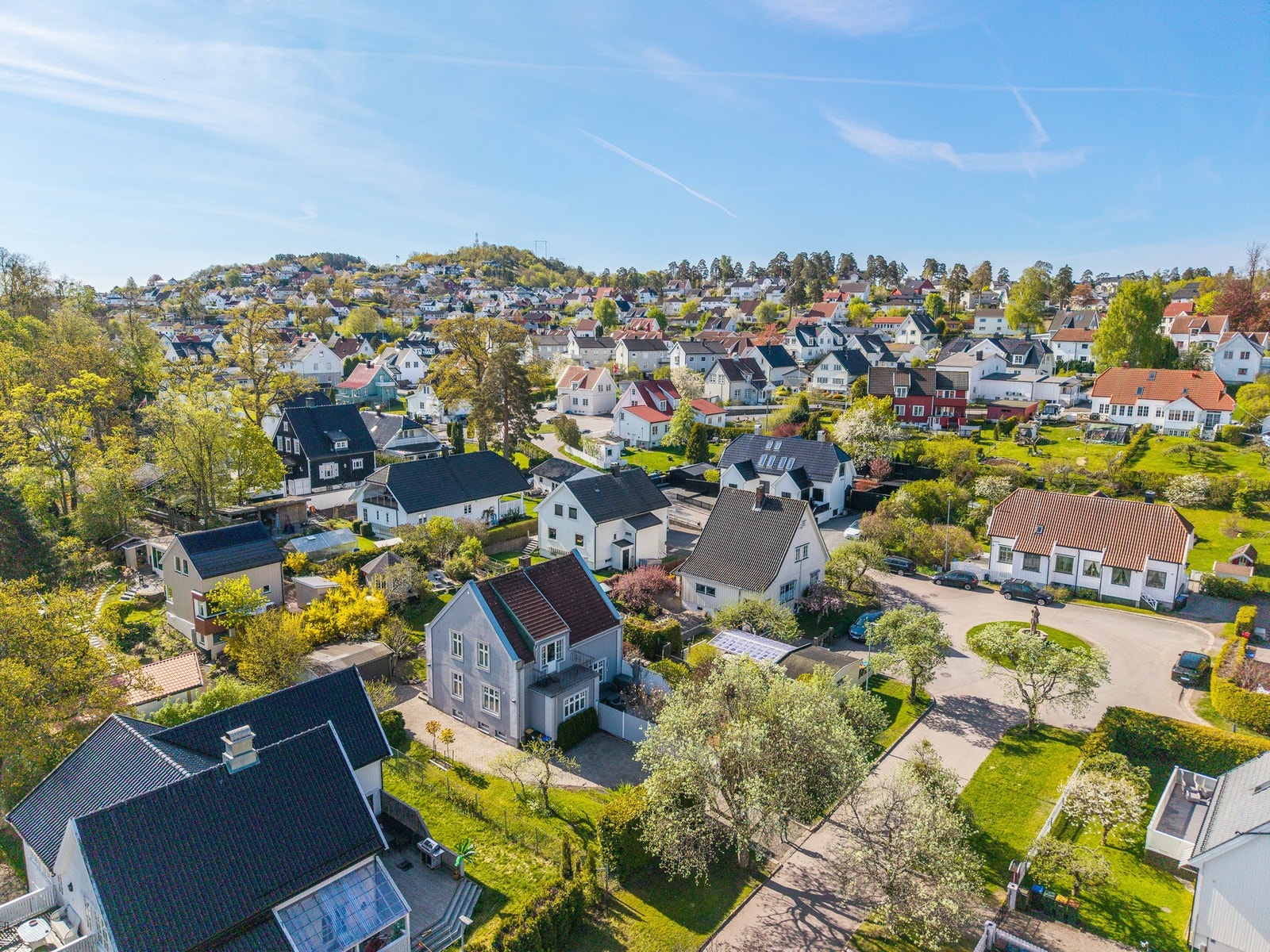 Apenes med "Lykkebrønnen" og Braarudåsen i overkant Galleribilde
