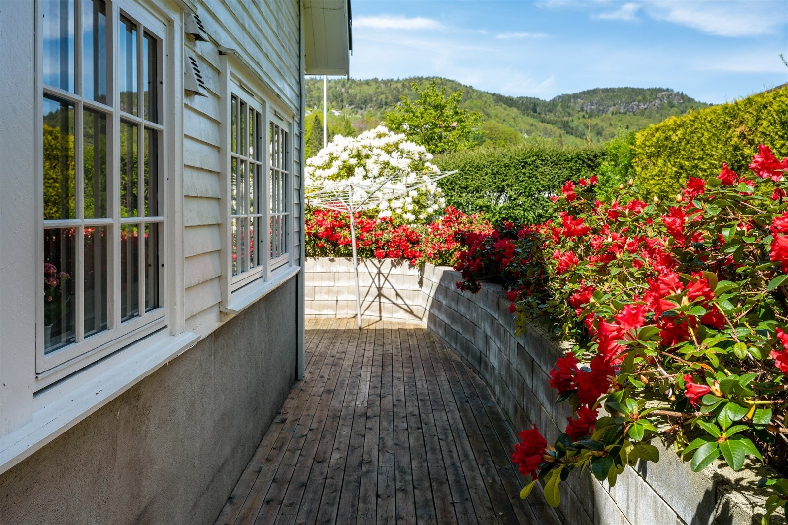 Pent opparbeidede uteområder med beplantning og flere lune soner. Galleribilde
