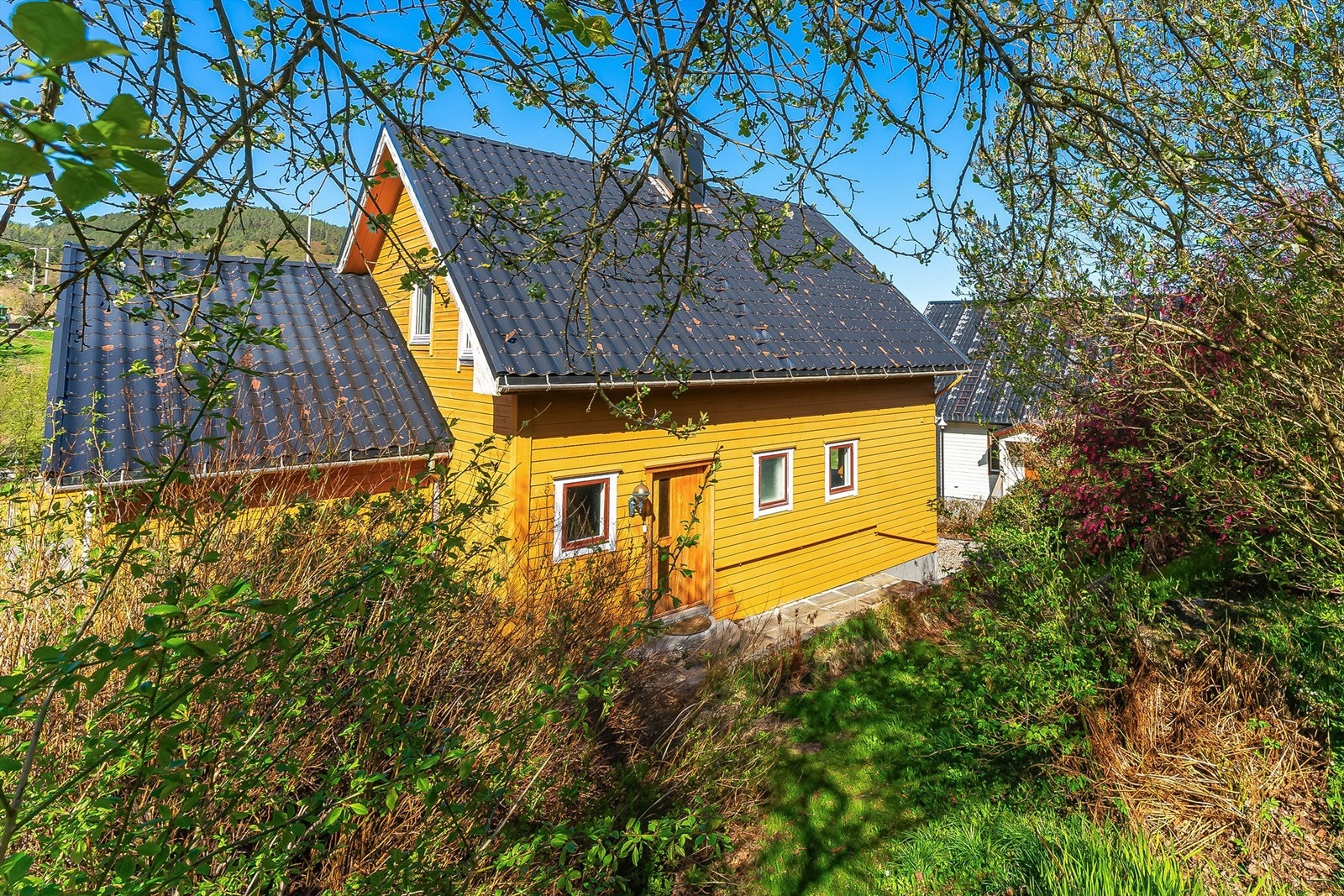 Velkommen på visning! Galleribilde