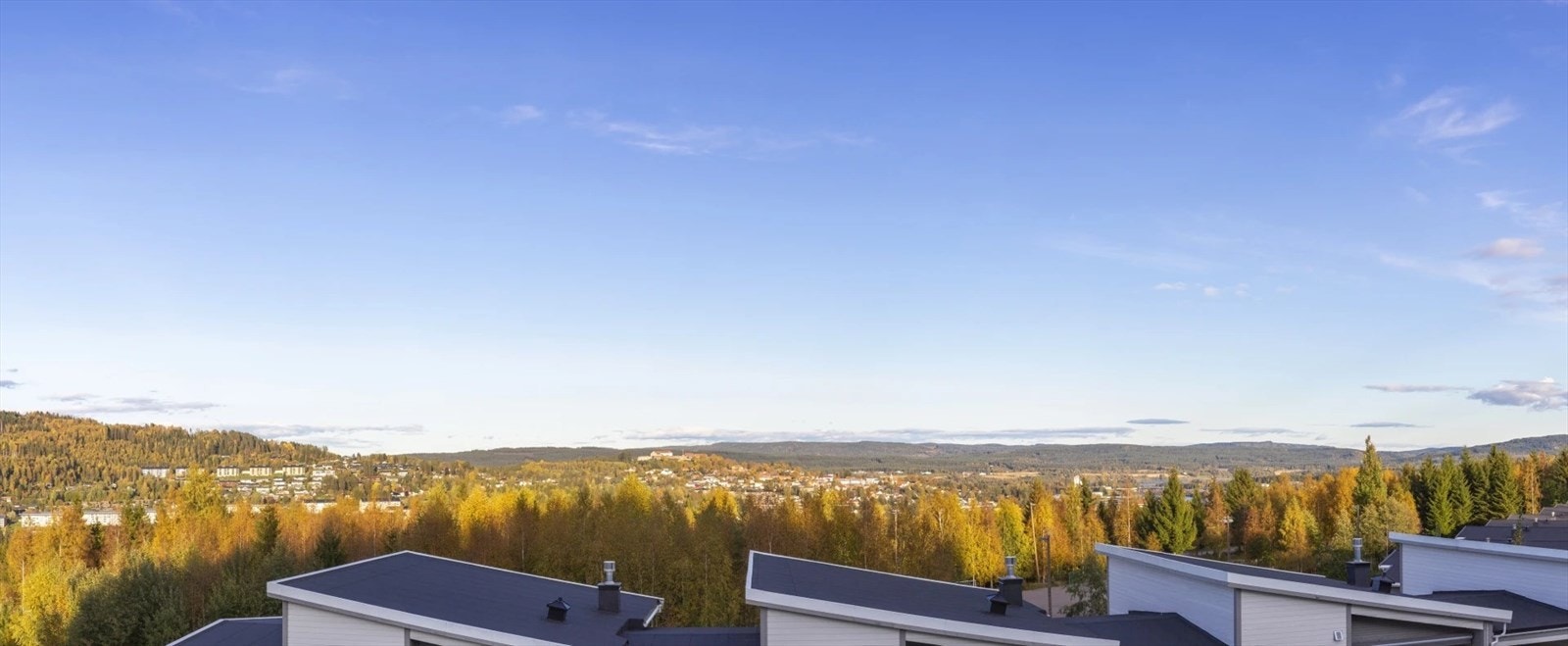 Utsikt over Kongsvinger omkranset av skog så langt øyet kan se ! Galleribilde
