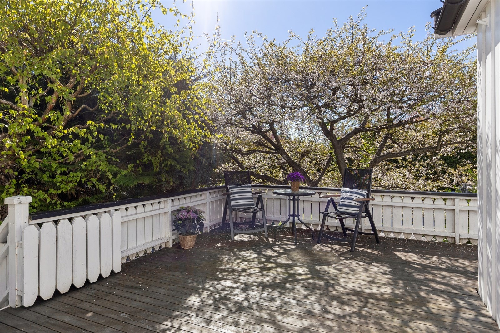Start dagen med frokost i ro og mak på terrassen, under et blomstrende plommetre og fuglekvitter. Galleribilde
