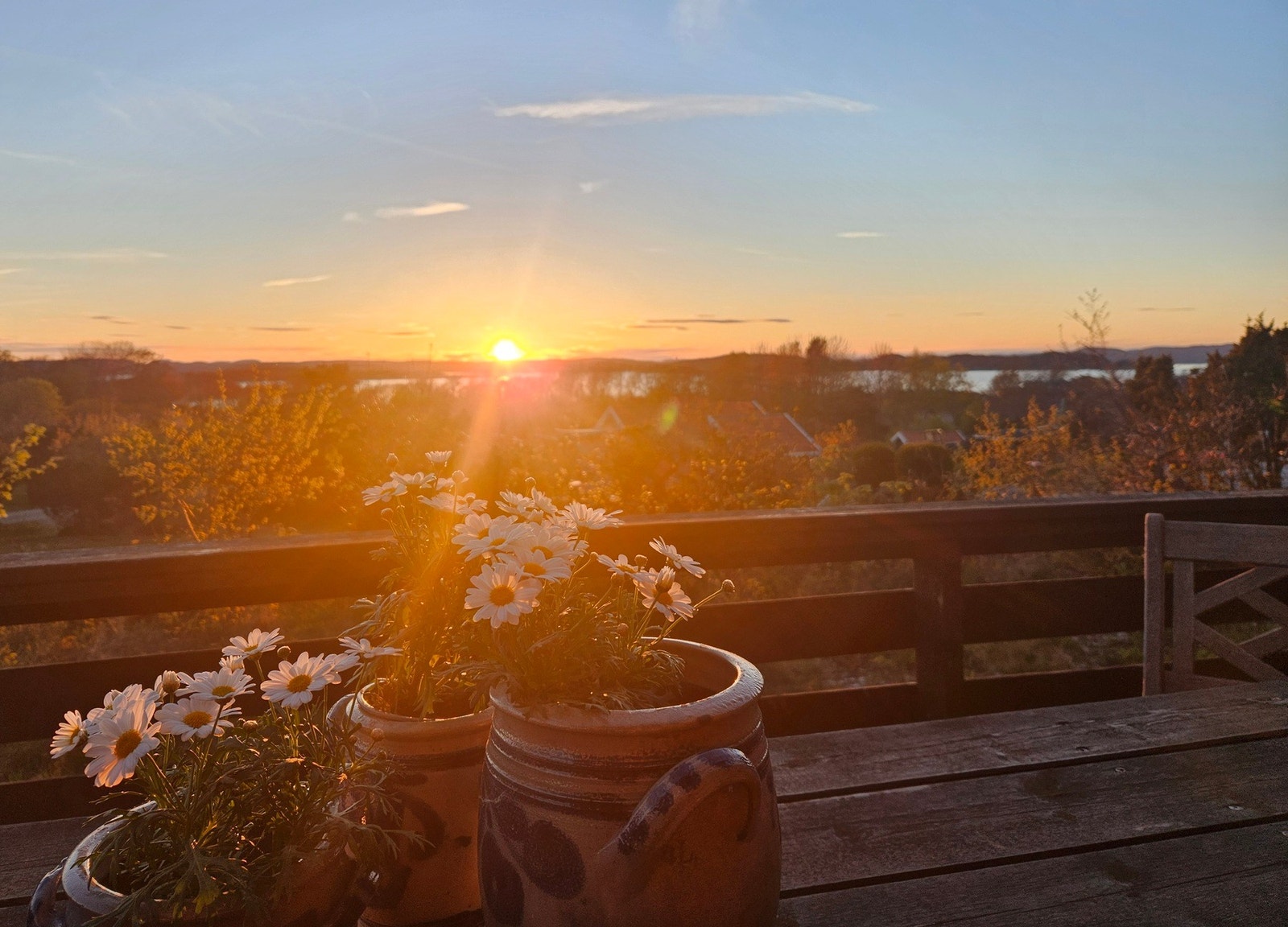 Selgers sommerbilde av solnedgangen Galleribilde