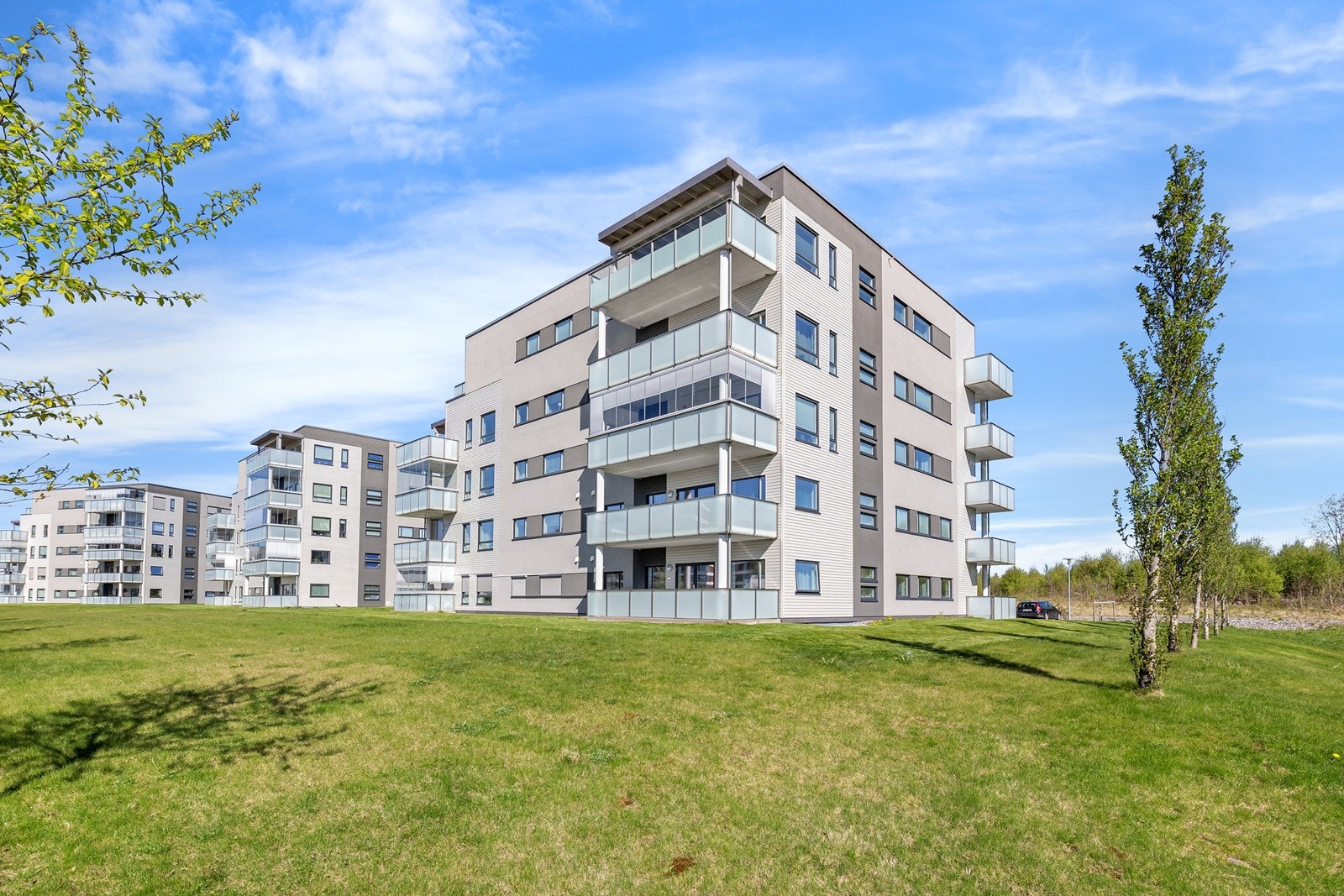 1DX39398.2 Galleribilde