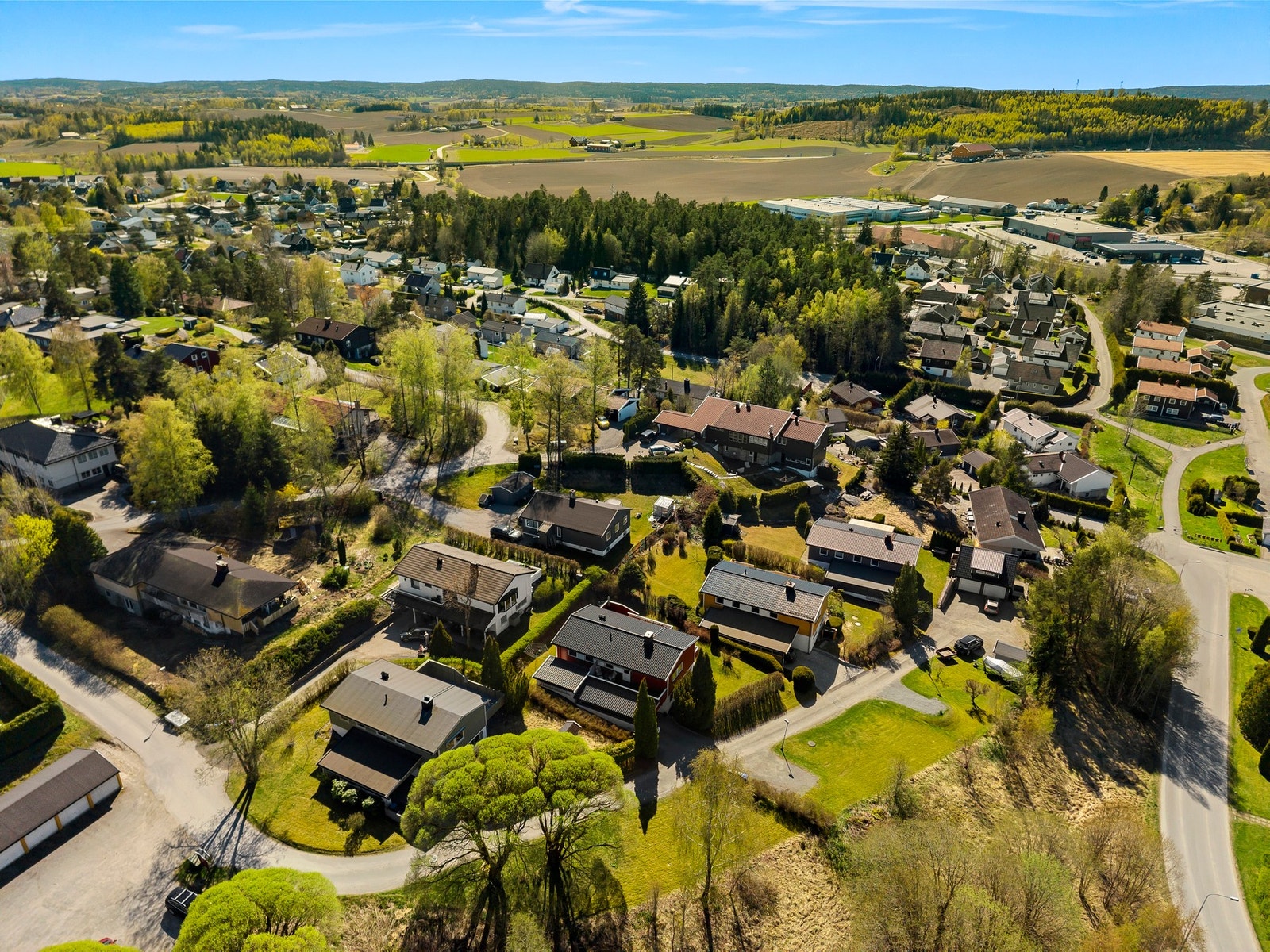 Drone. Galleribilde