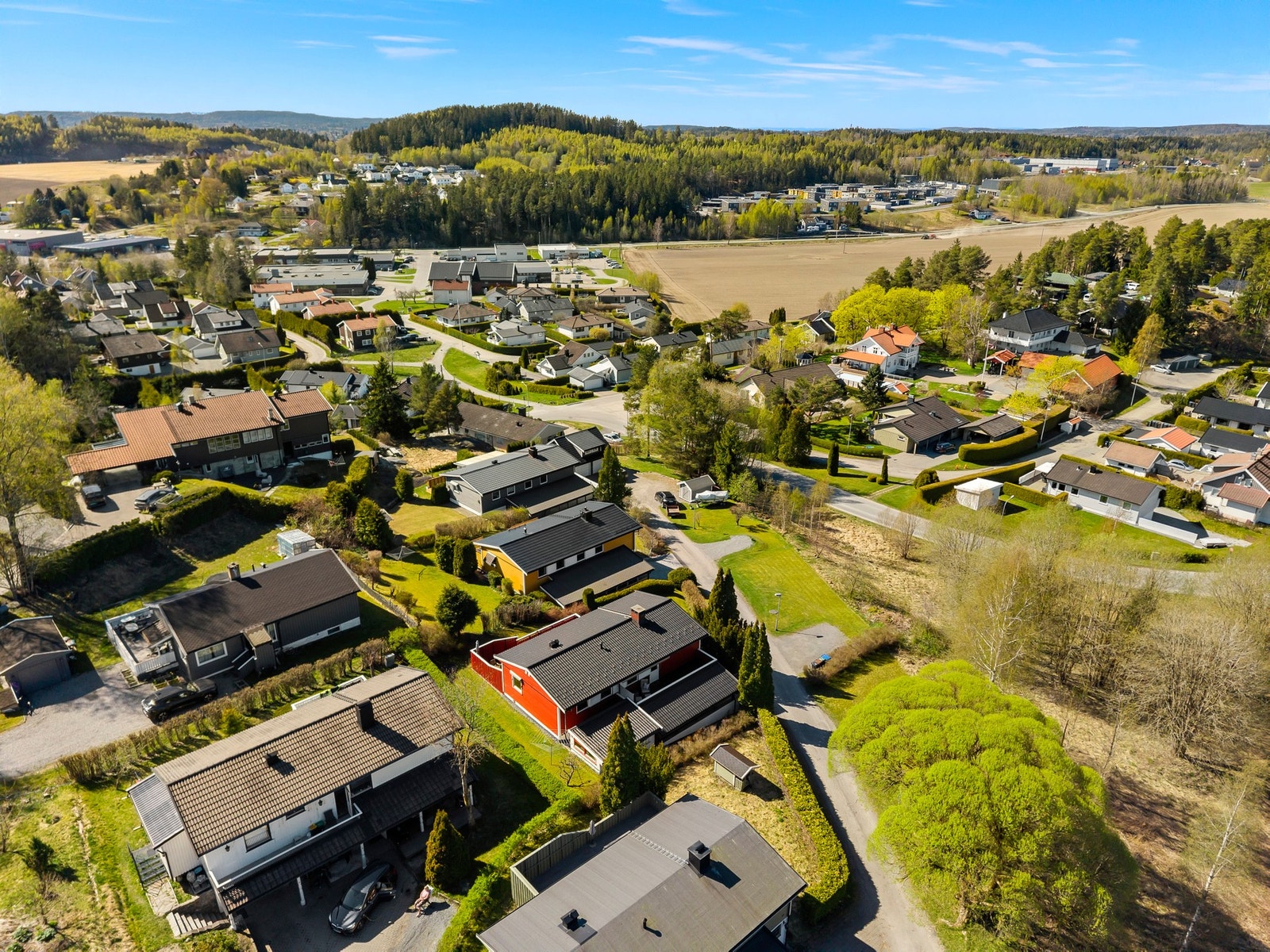 Drone. Galleribilde