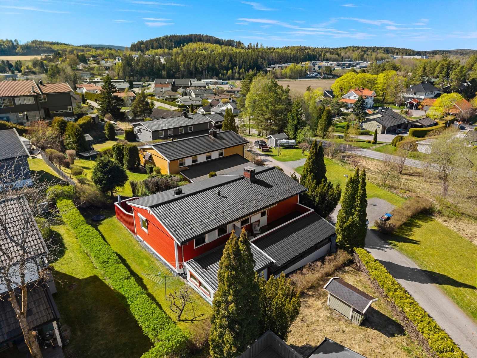 Drone. Galleribilde