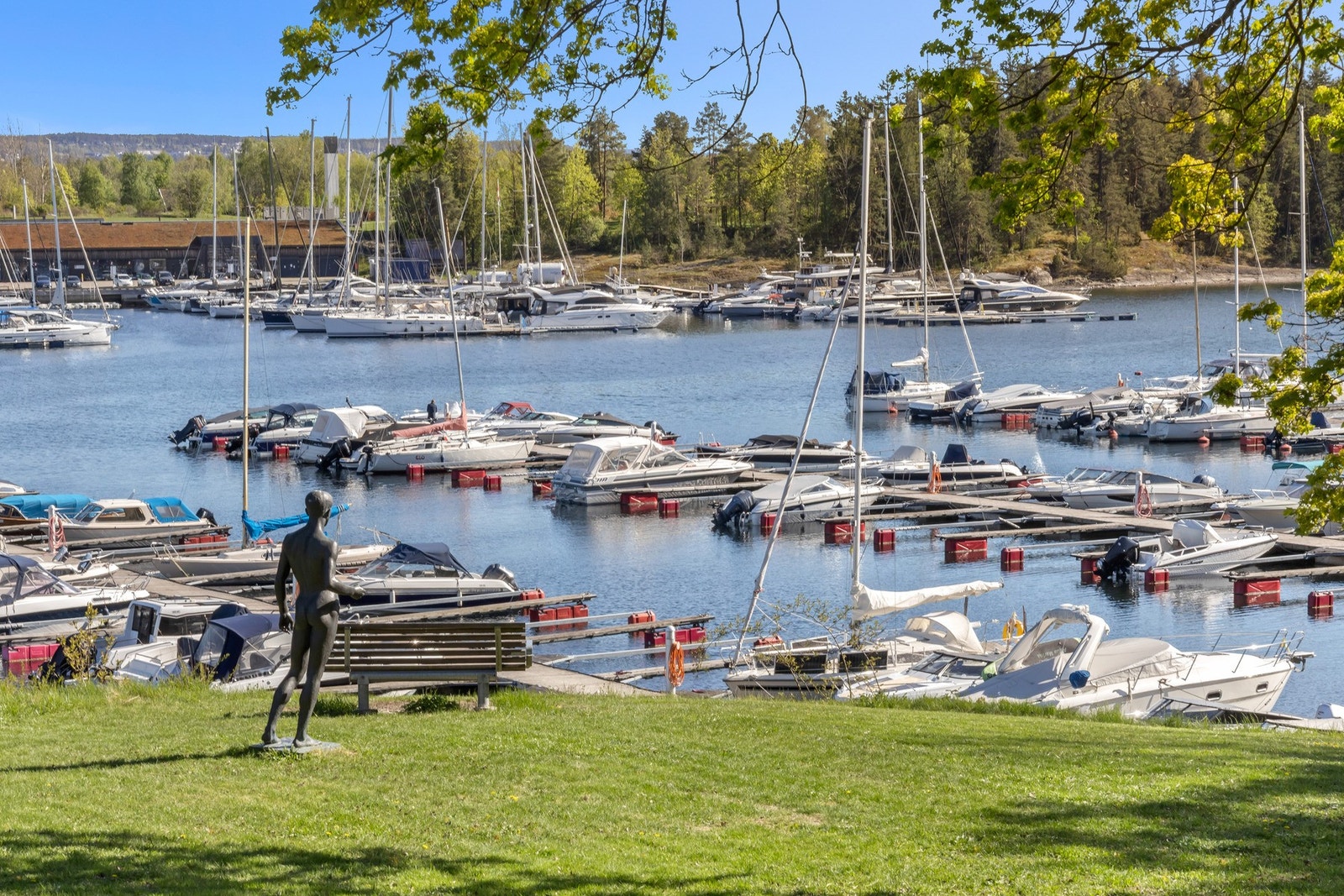 Koselige viker og marinaer langs fjorden i umiddelbar nærhet Galleribilde