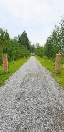 Allé Galleribilde