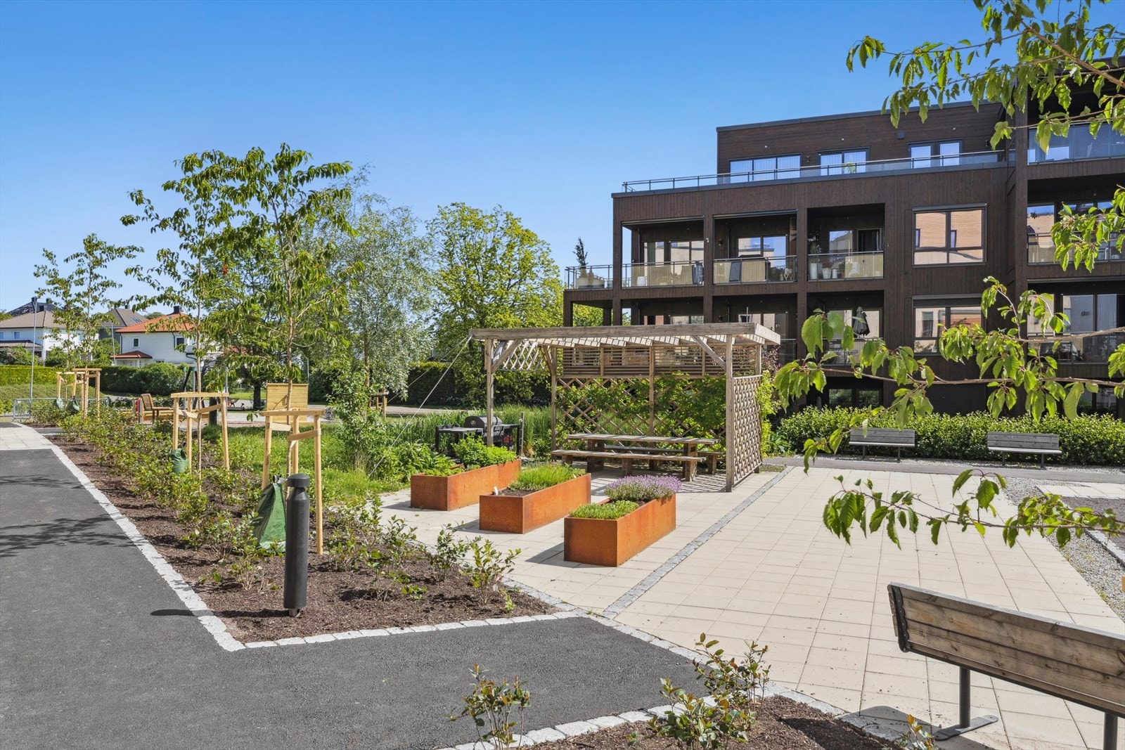 Fellesarealer og park med pergola, grillplass og boccia-bane Galleribilde