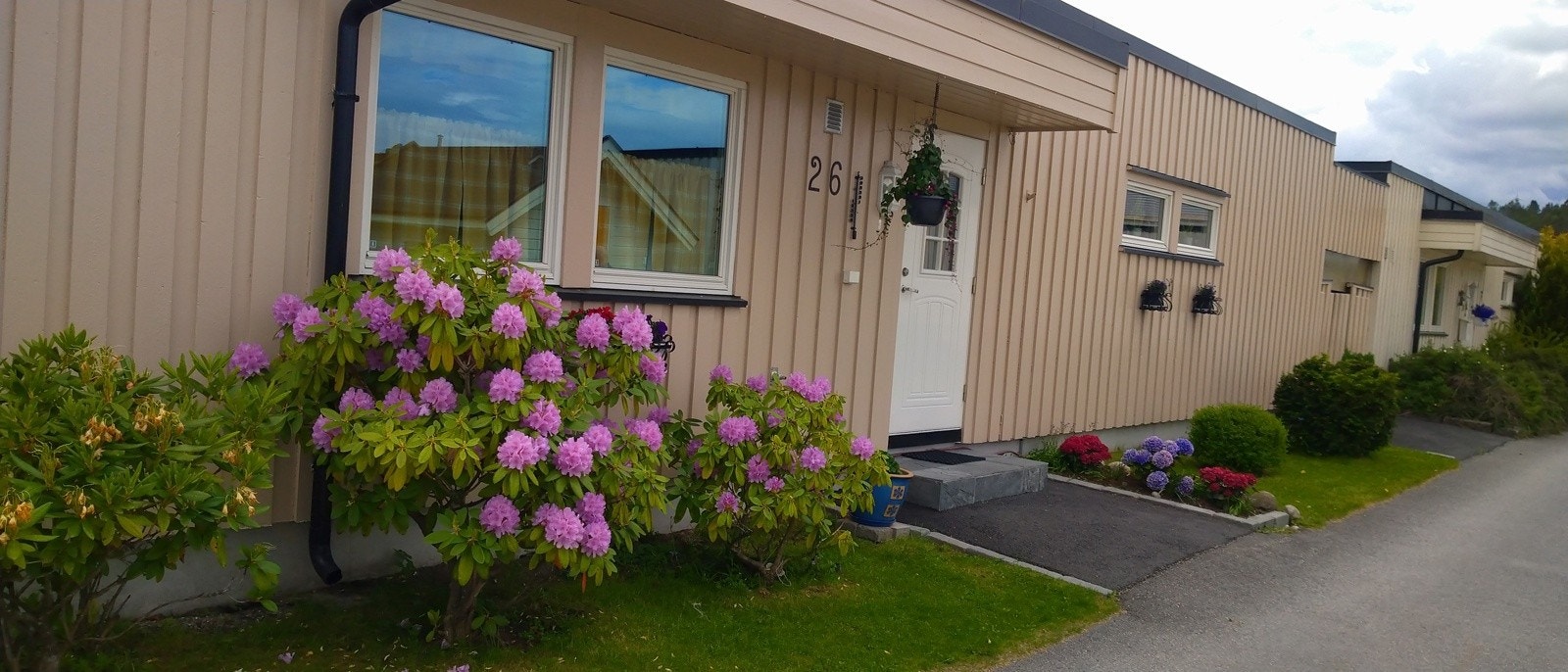 Selgers private bilde av inngangsparti med blomstrende busker. Galleribilde