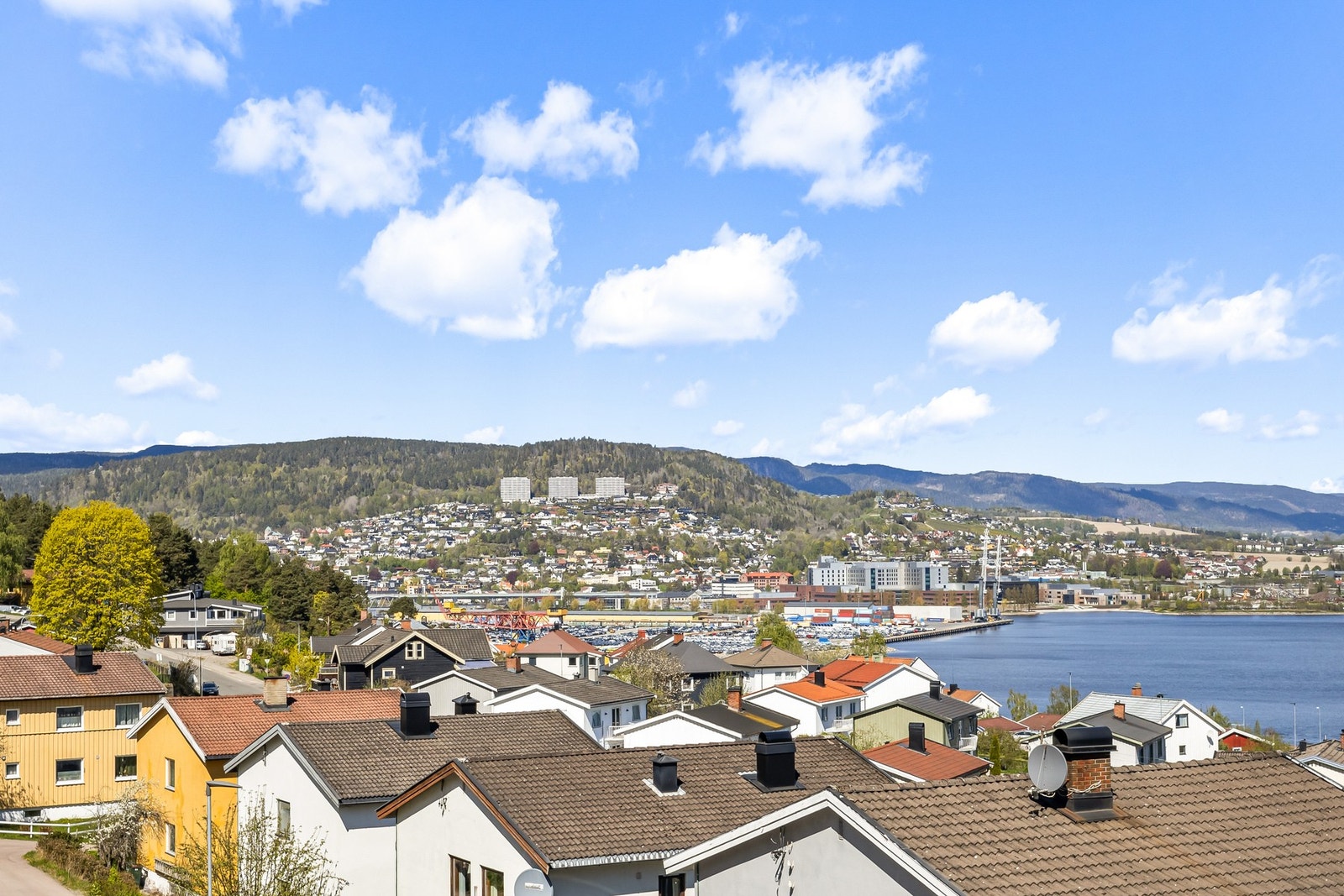 Flott utsikt. Galleribilde