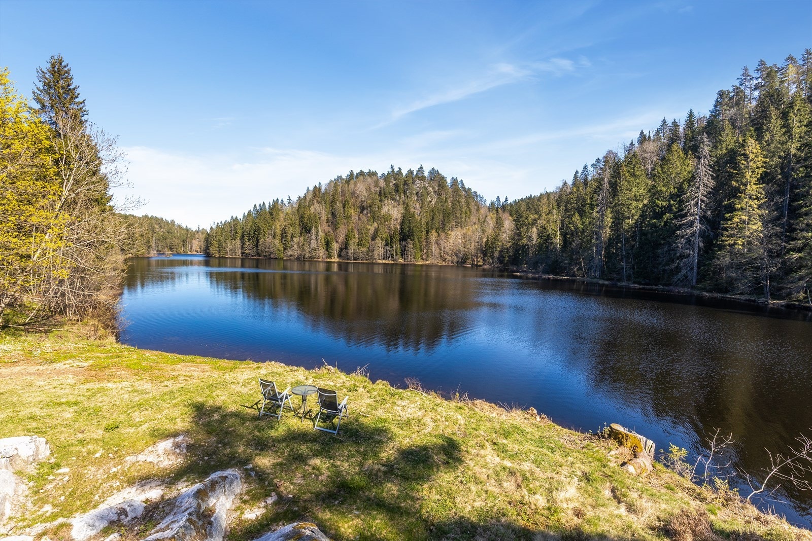 Her kan du nyte stille dager ved Ringsjøvannet, rett på egen eiendom. Galleribilde