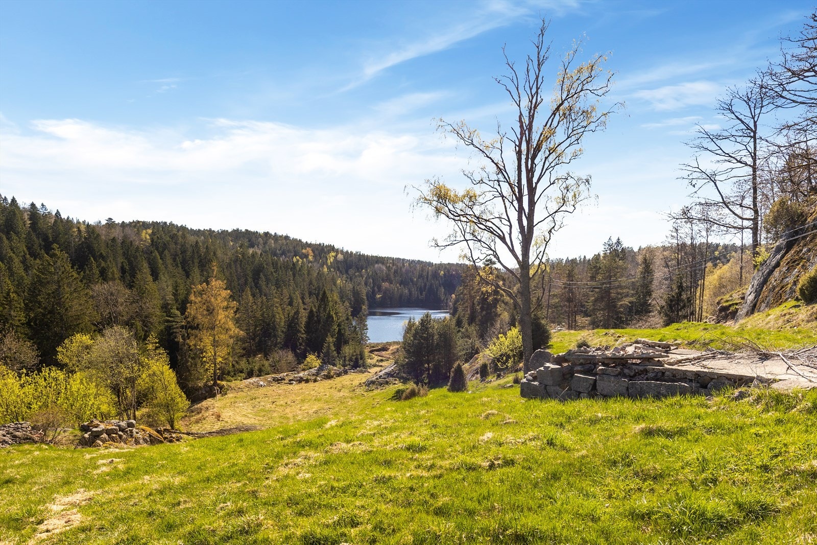 Fra eiendommen er det nydelig utsikt ned mot vannet og de omkringliggende jordene. Galleribilde