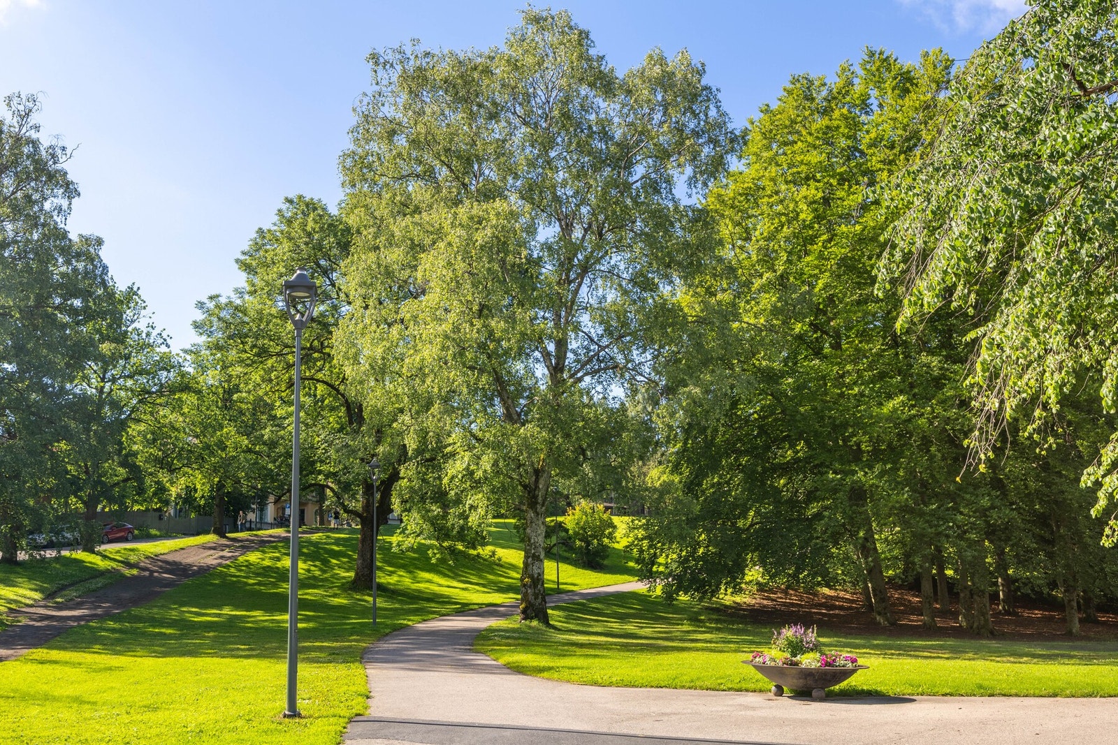 St. Hanshaugen park. Galleribilde