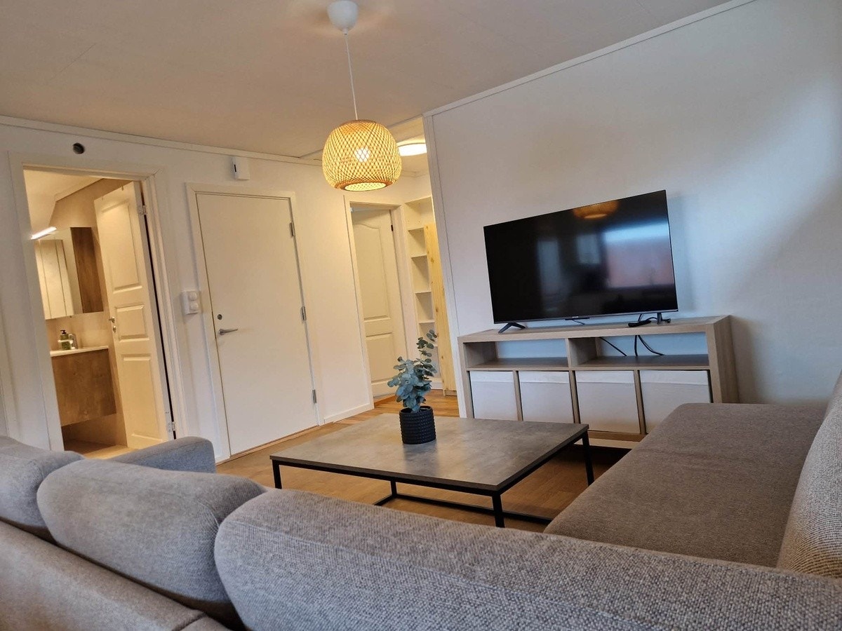 Stue med TV Galleribilde