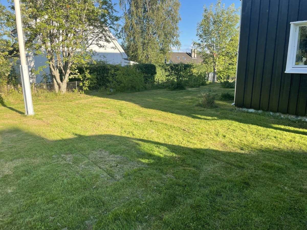 Uteområde Galleribilde