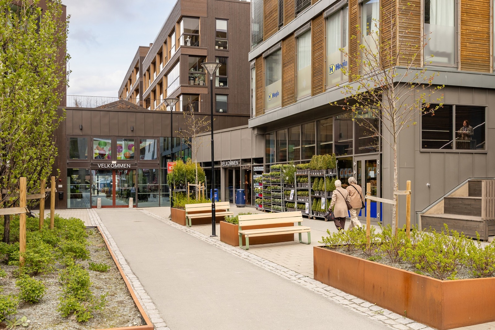 Pent opparbeidet uteområde med beplantning og benker. Galleribilde