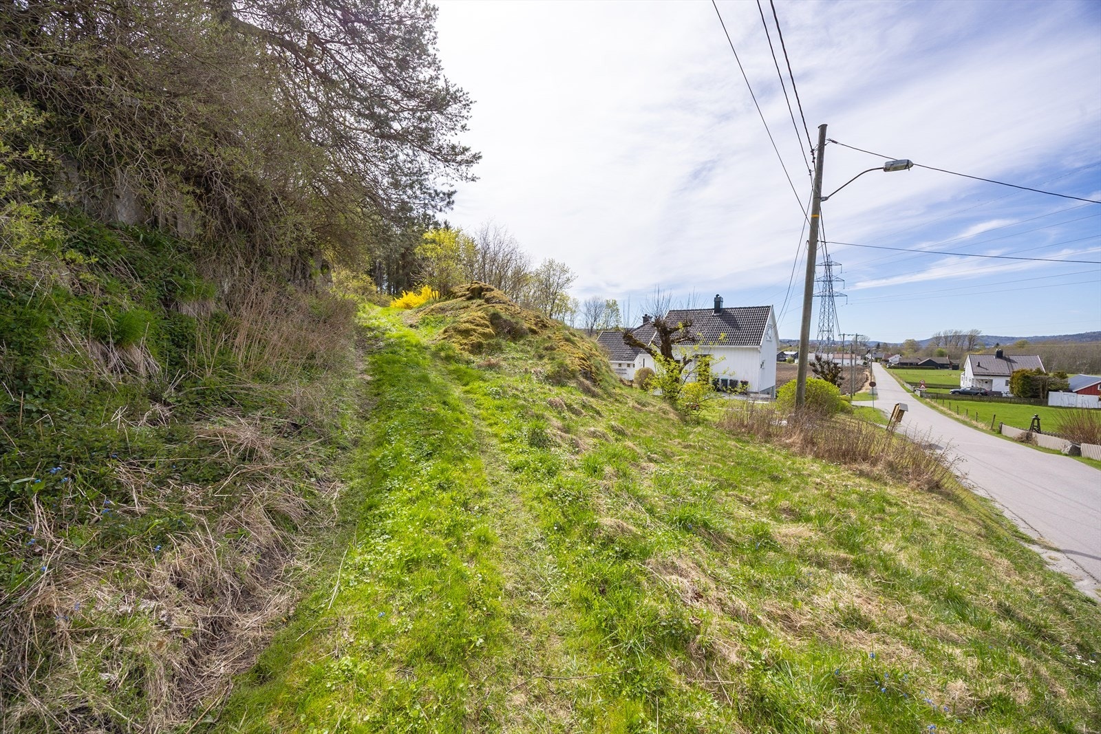 Tomten selges som den står med den vegetasjon som er på eiendommen. Galleribilde