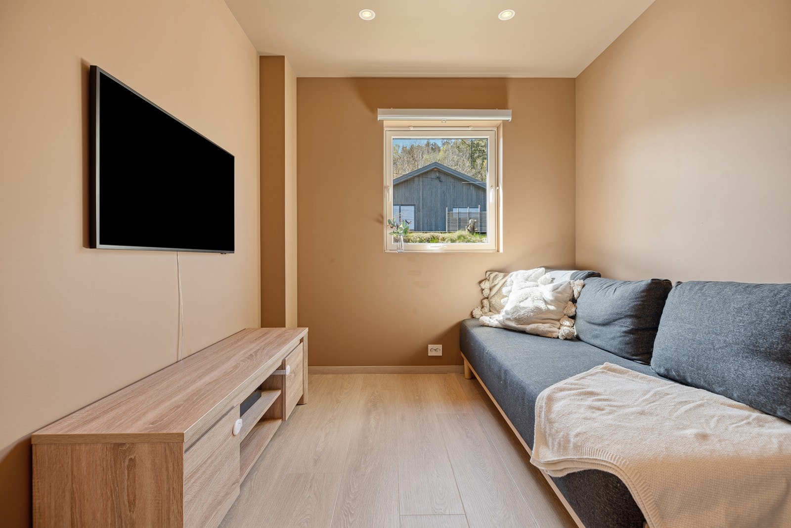 TV-stue/soverom Galleribilde