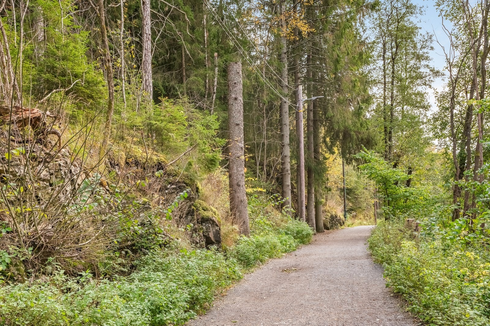 Området byr på gode turmuligheter med umiddelbar nærhet til skog og mark. Galleribilde