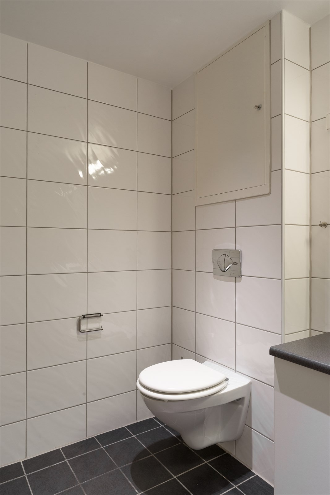 Det er innredet med servant, vegghengt toalett, dusjvegg og opplegg for vaskemaskin. Galleribilde
