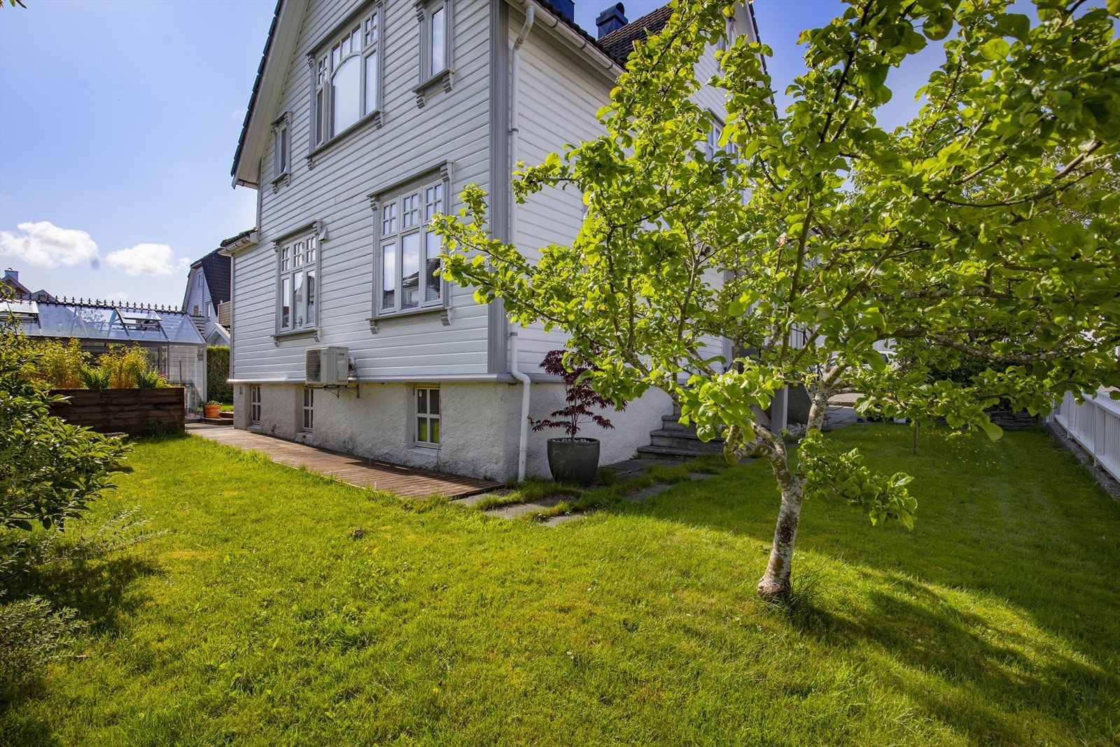 Epletre i hagen. Galleribilde
