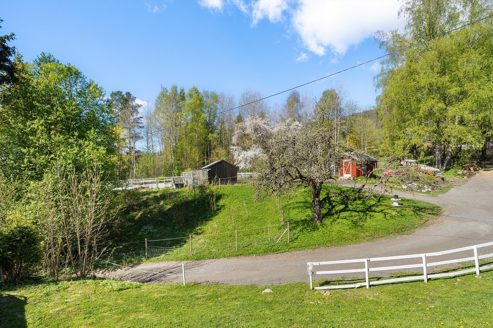 Innholdsrik og velstelt tun med frodig vekst, flott prydbeplantning og blomstrende frukttrær. Galleribilde