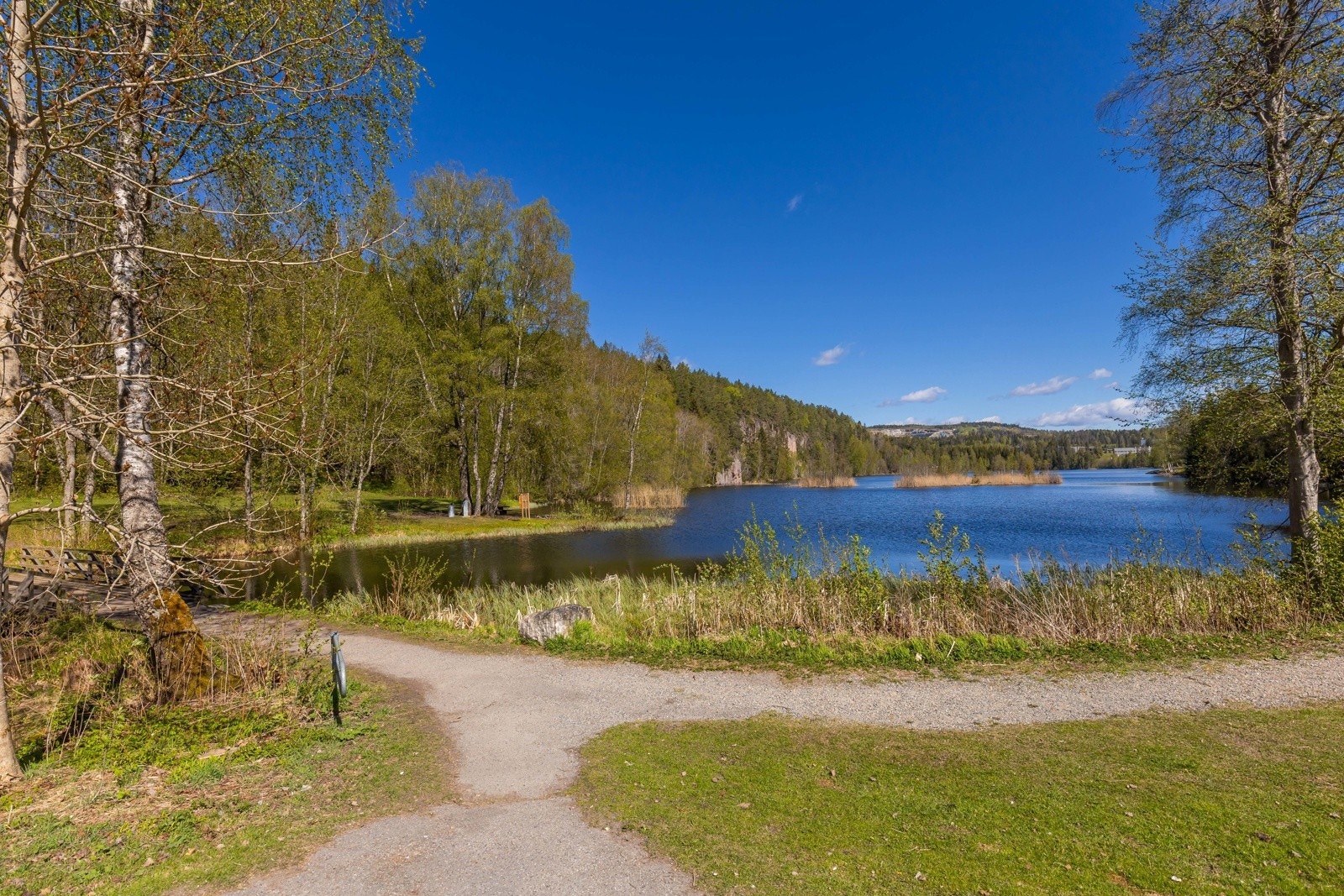 nærområde (1) Galleribilde