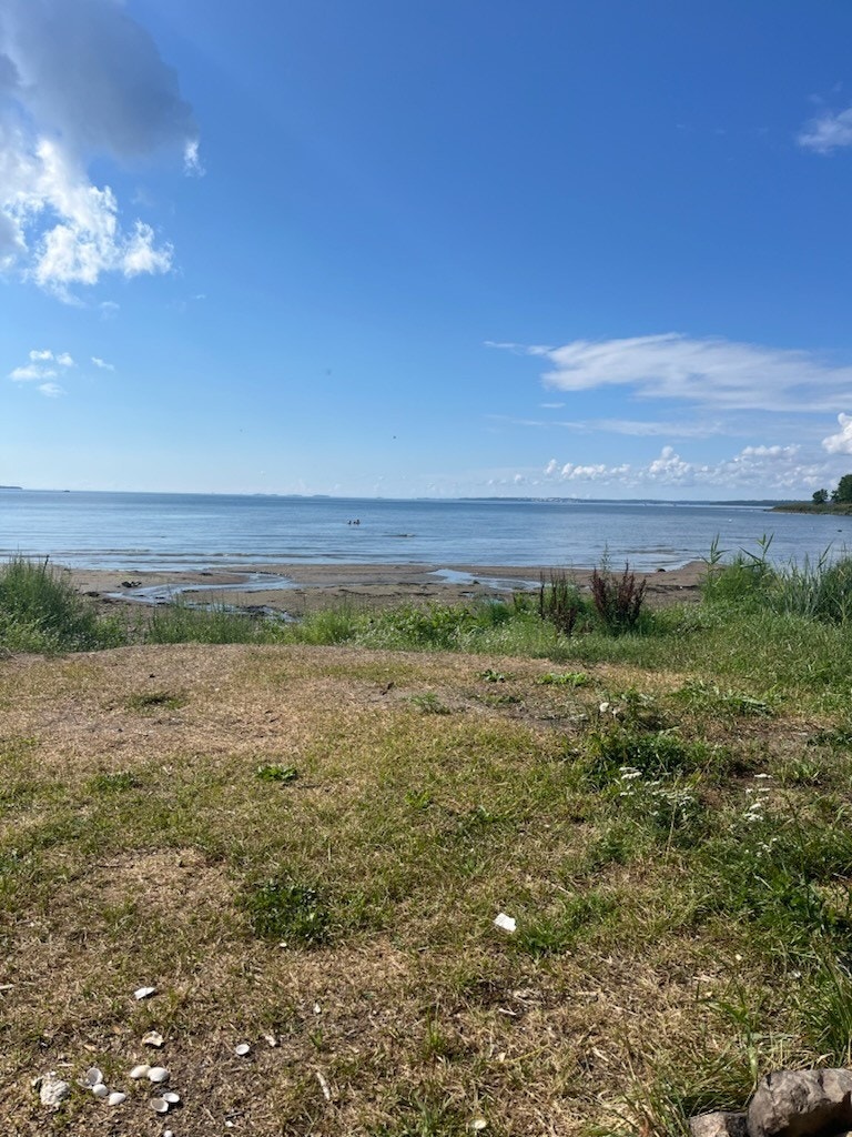 Jeløya har mange flotte strender og turområder(selgers private bilder) Galleribilde