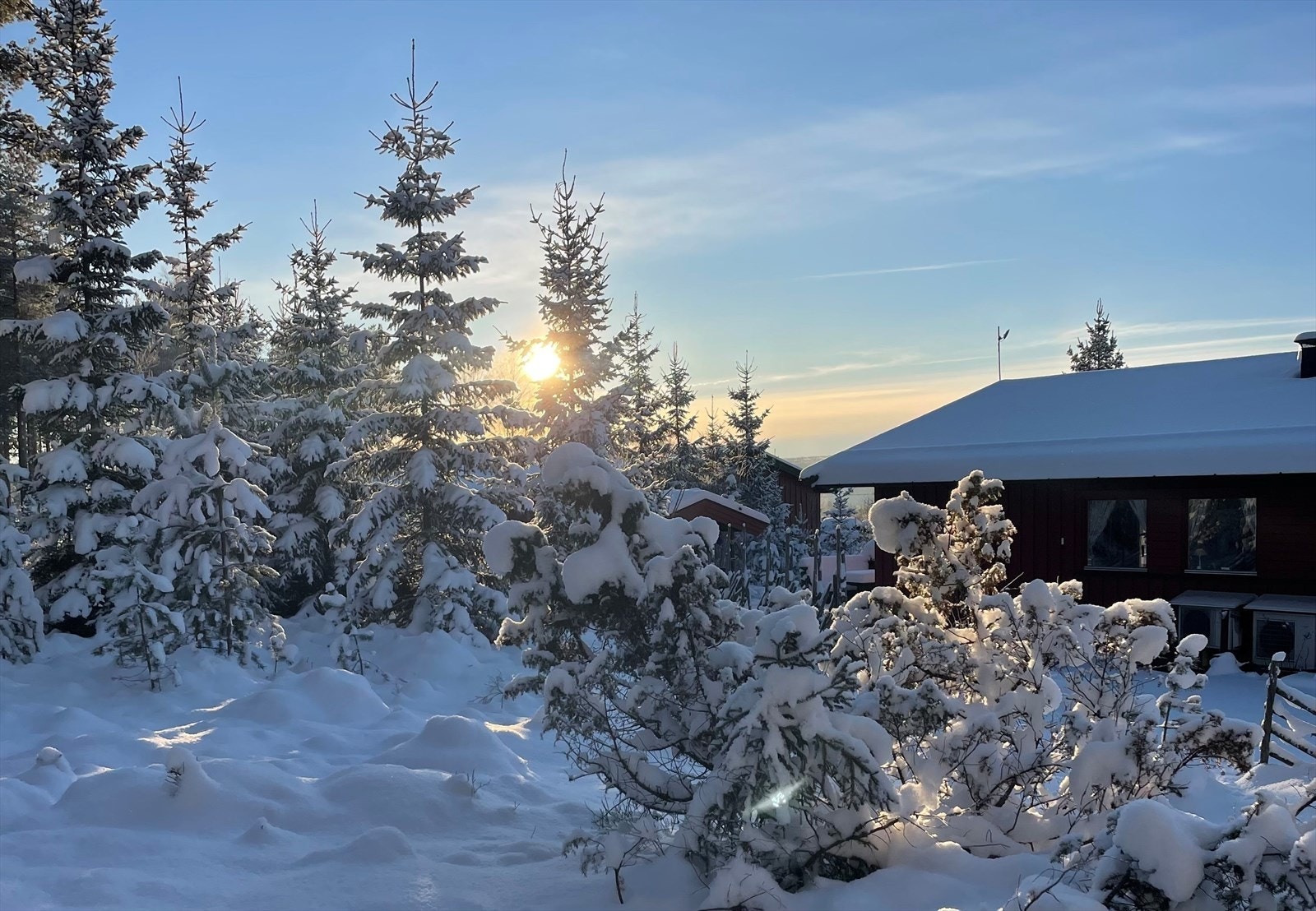 Nydelige vinterforhold i skogkanten (selgers private bilde). Galleribilde