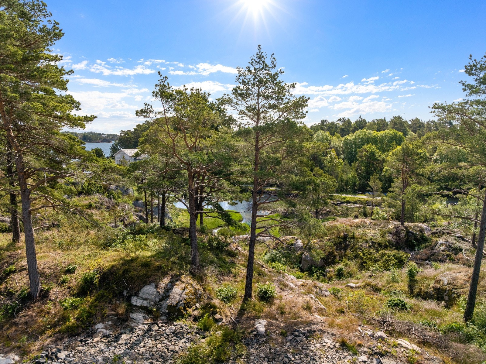 Utsikt fra tomt 6. Hvis ønskelig, kan det fjernes ytterligere vegetasjon i utsikten. Galleribilde