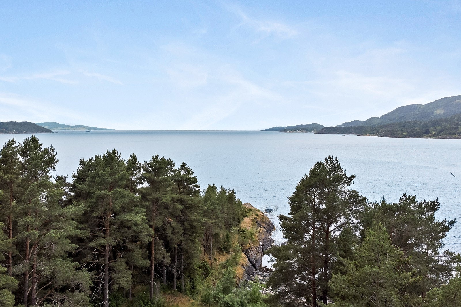 Utsikt mot sørvest i retning Trondheimsfjorden. Galleribilde