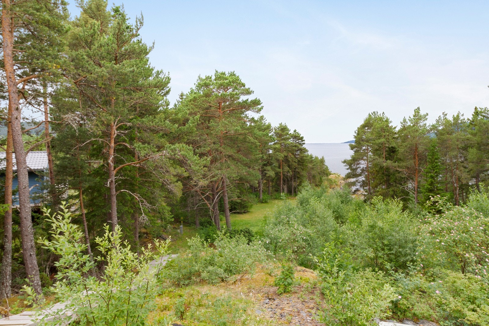 Ca 100 m på sti ned til sjøen. Galleribilde
