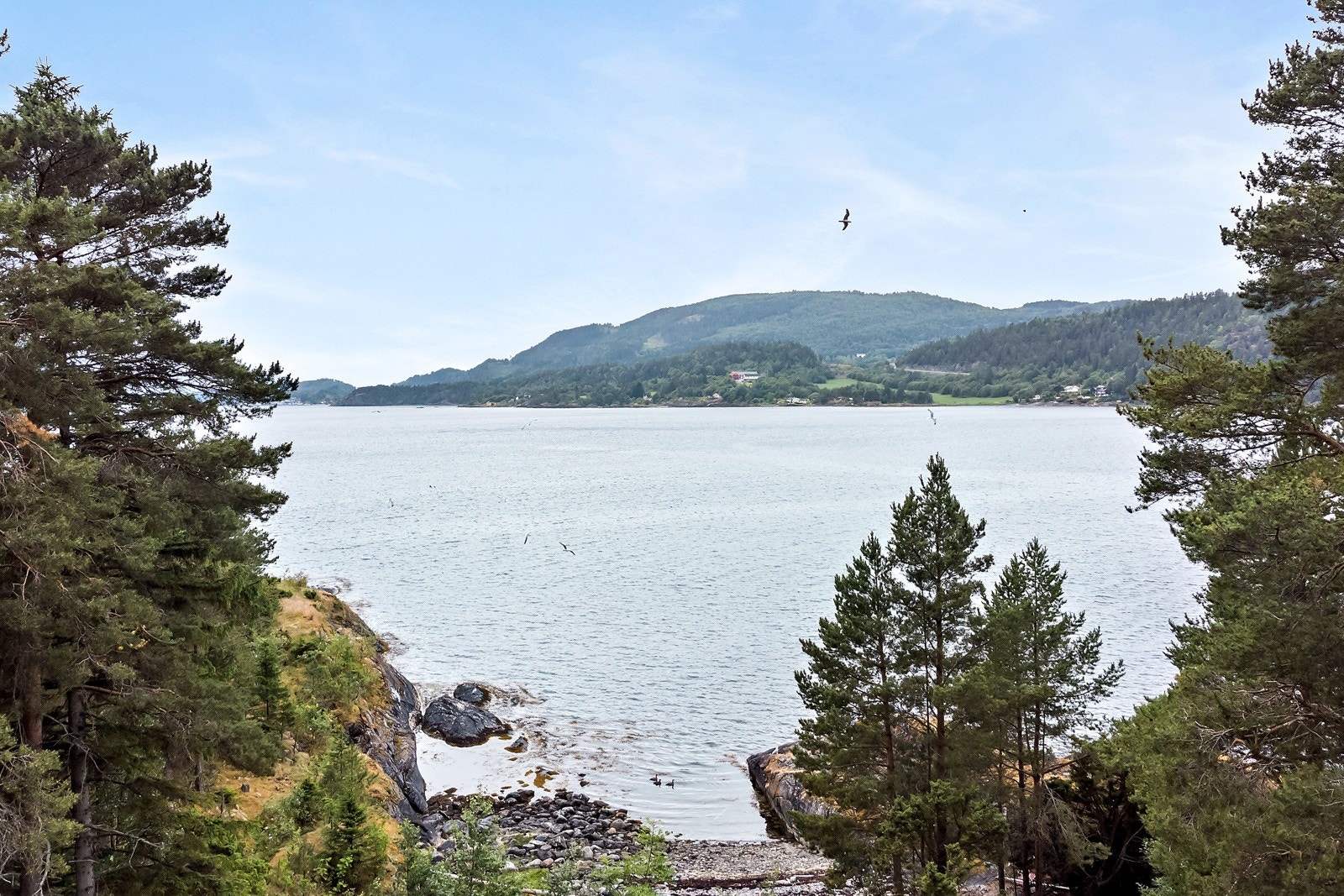 Selveier tomt, innlagt strøm, sommervann på vegg og utendørs mulldo. Galleribilde