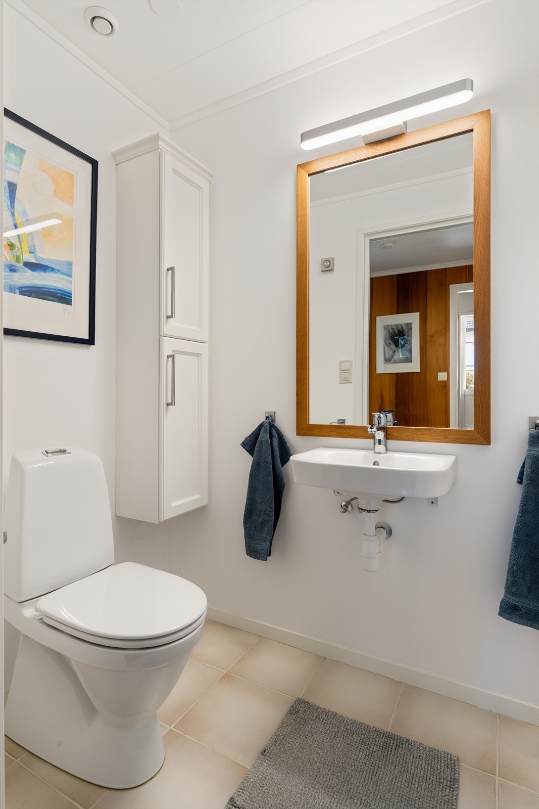 Praktisk wc-rom i tilknytning til inngangspartiet. Galleribilde
