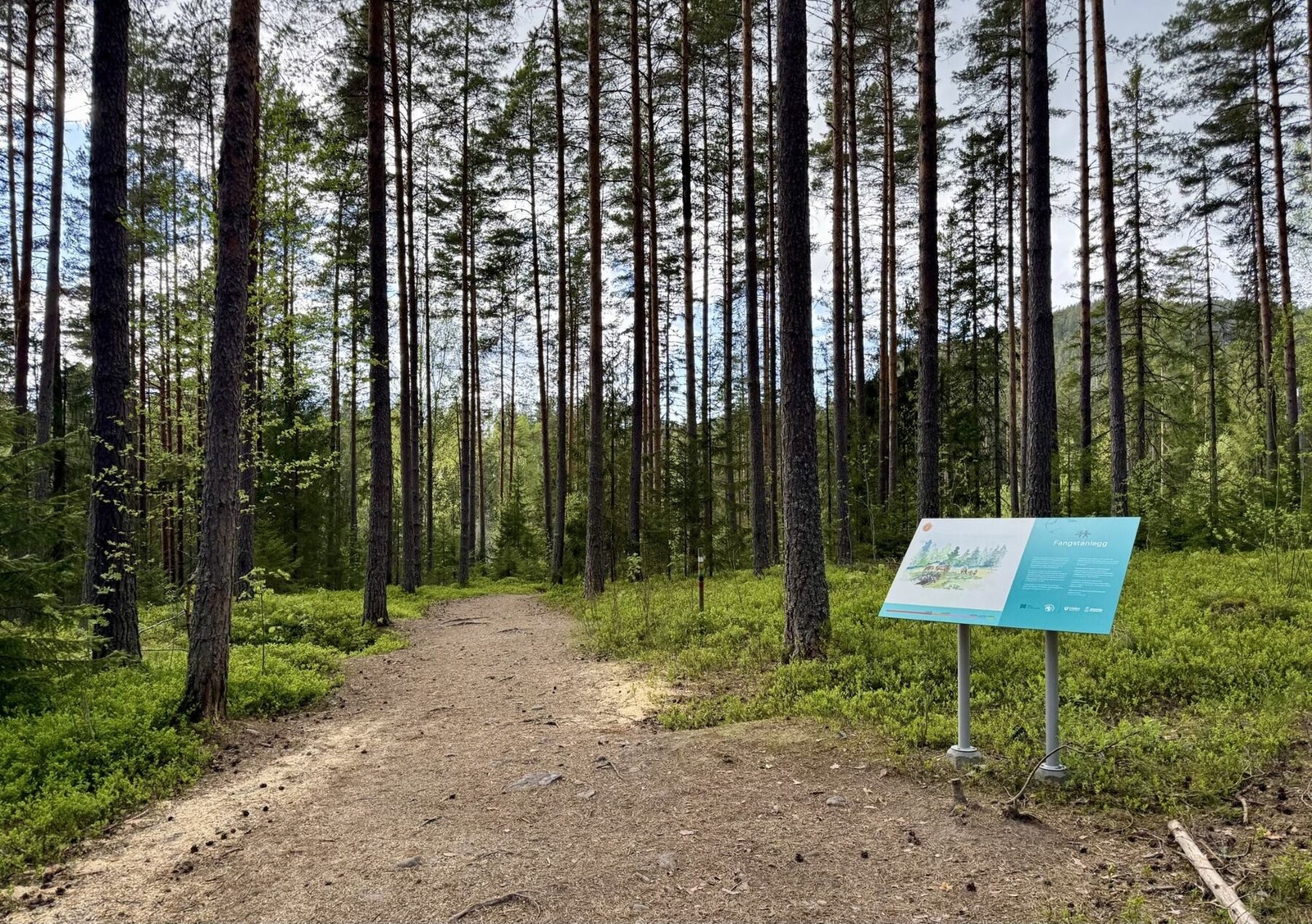 I området er det også lysløype som gir deg en fin rundtur i Finnemarka. Vinterstid kjøres det opp skiløyper. Galleribilde