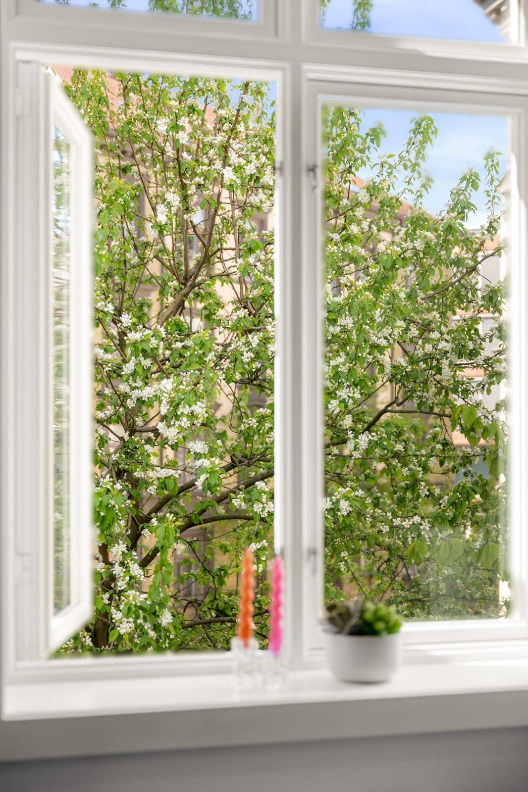 Fra vinduene har man utsyn mot grønne trær i bakgården. Galleribilde