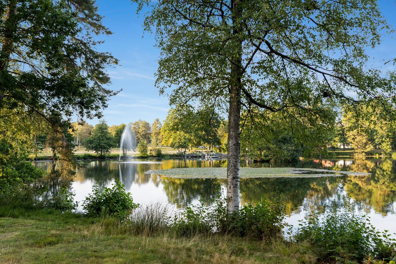 I Bugårdsparken er det nydelig å sette seg ned på en benk og nyte den vakre utsikten i rolige omgivelser. Galleribilde