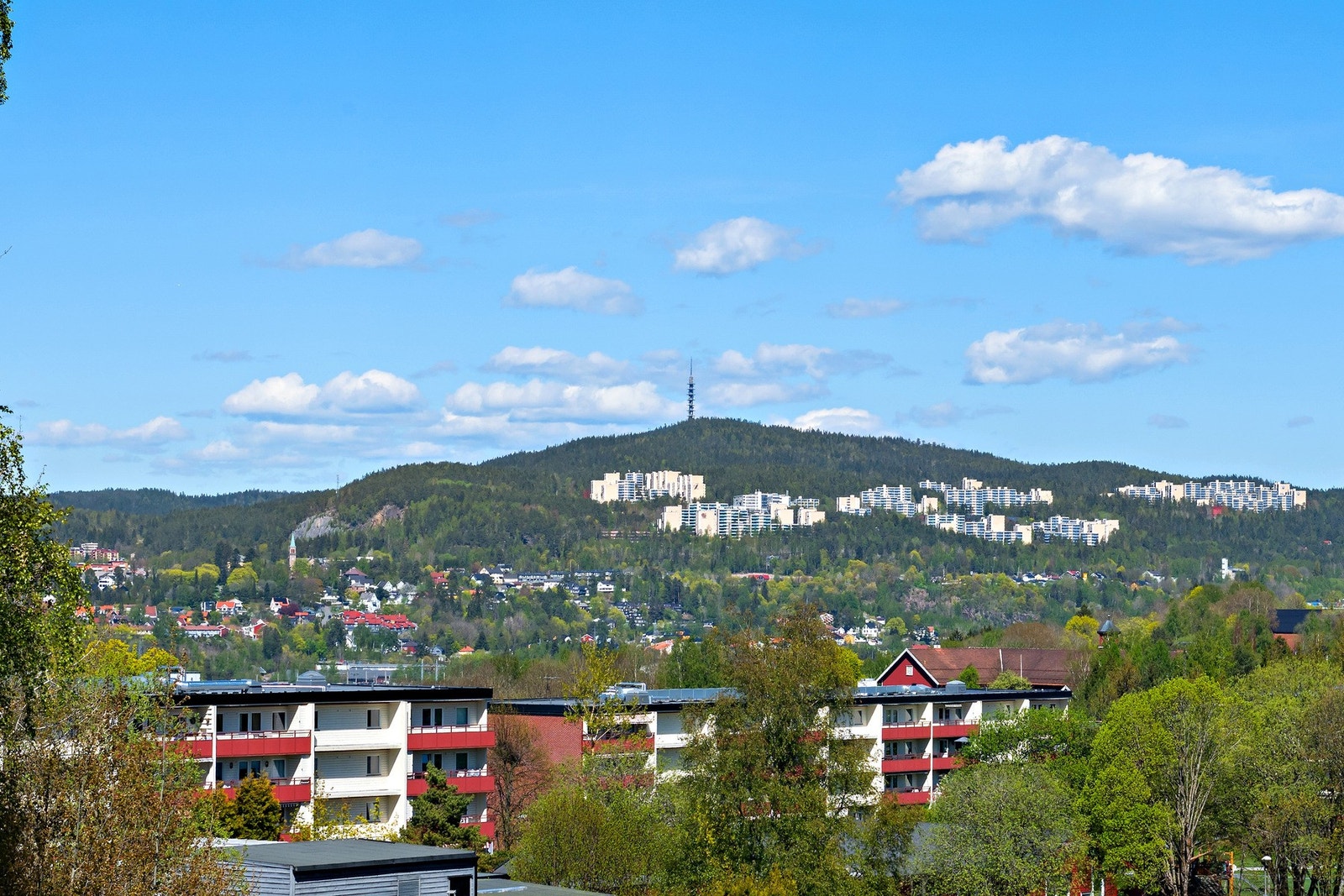 Flott utsikt. Galleribilde