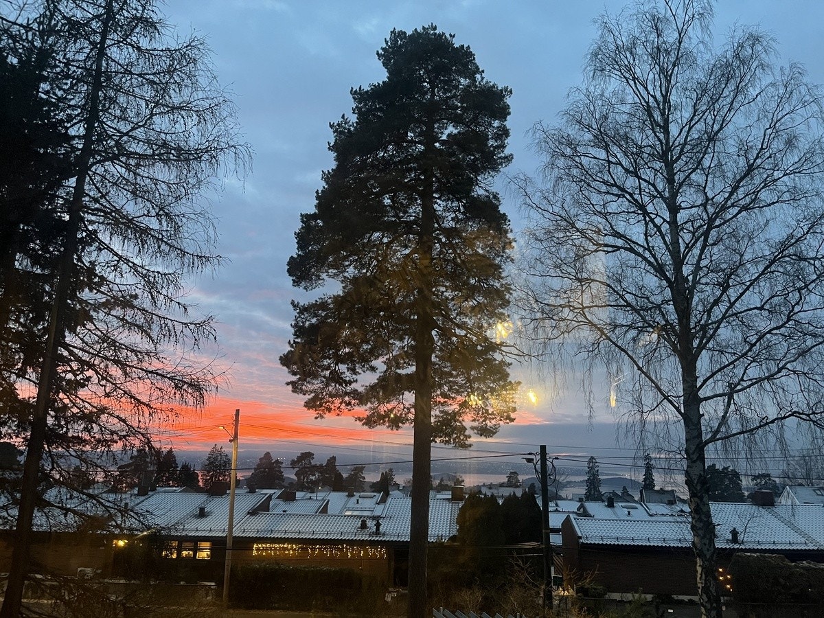 Utsikt fra vinduet Galleribilde