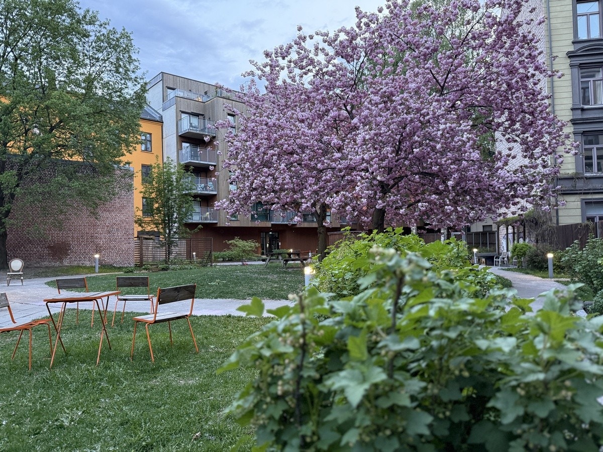 Felles bakgård nummer 1 Galleribilde