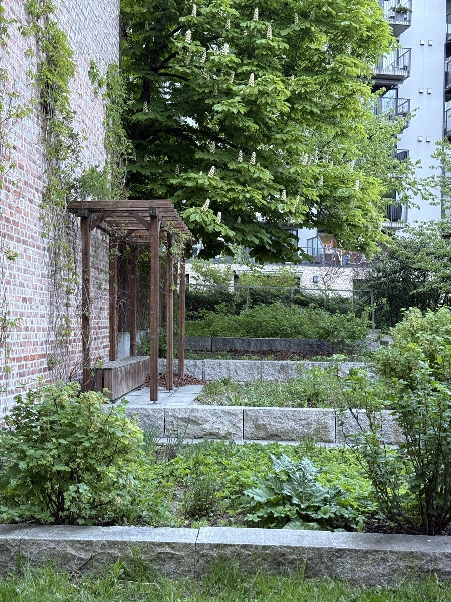 Felles bakgård nummer 1 Galleribilde