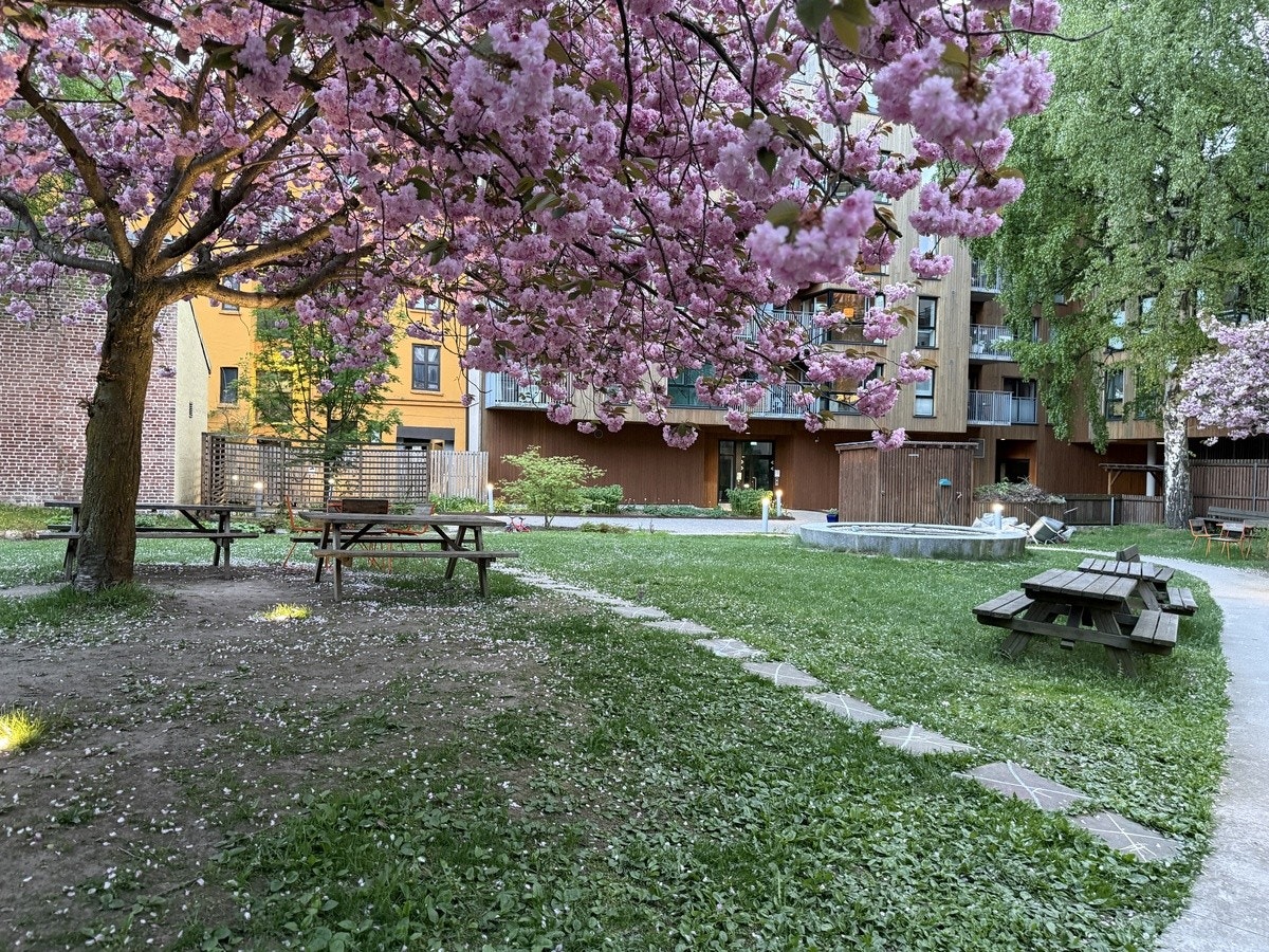 Felles bakgård nummer 1 - Hageslange tilgjengelig Galleribilde