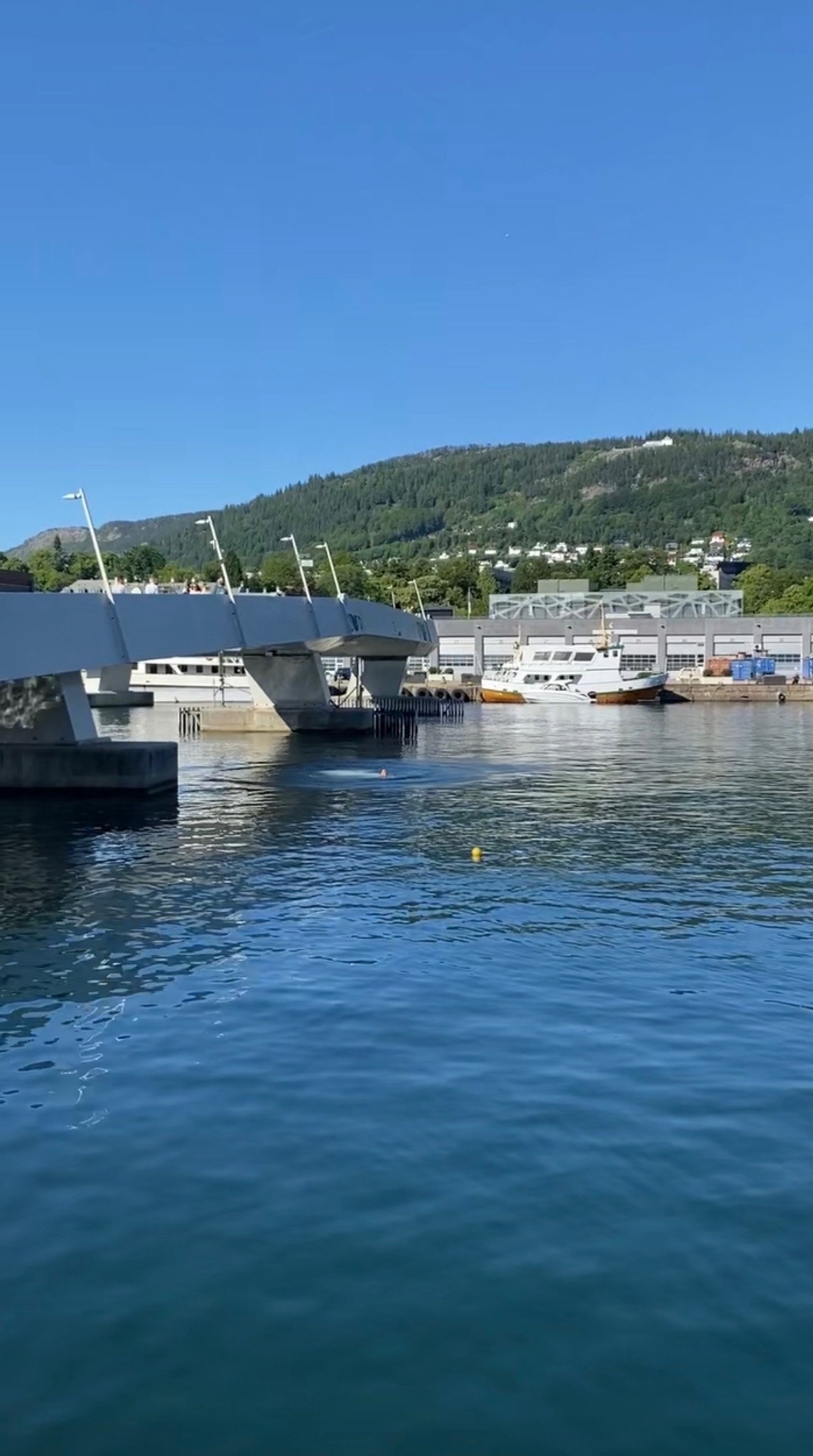 Småpudden, gang- og sykkelvei, som tar deg fra Damsgård og over til Marineholmen, bystranden og BI. Galleribilde