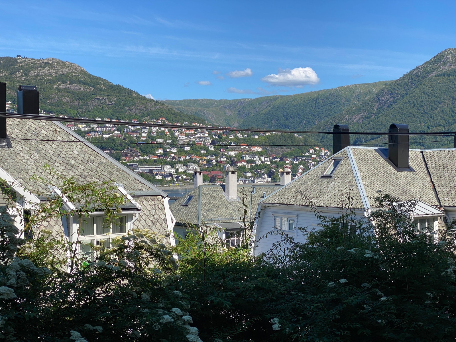 Utsikt mot Vidden og Bergensdalen, fra terrassen. Galleribilde