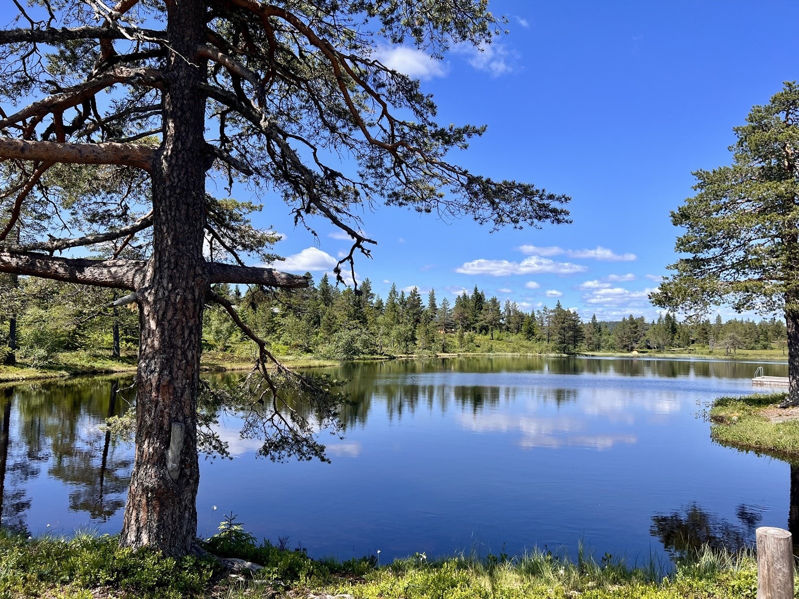Skrim byr på turopplevelser både sommer og vinter. Sommerstid er det idylliske badevann, gode fiskemuligheter (med fiskekort) og mye bær og sopp å finne Galleribilde