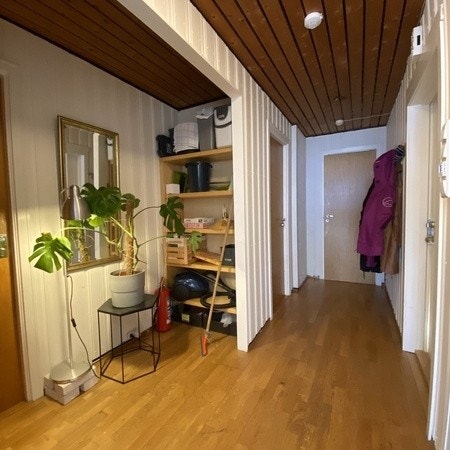 Gang Galleribilde