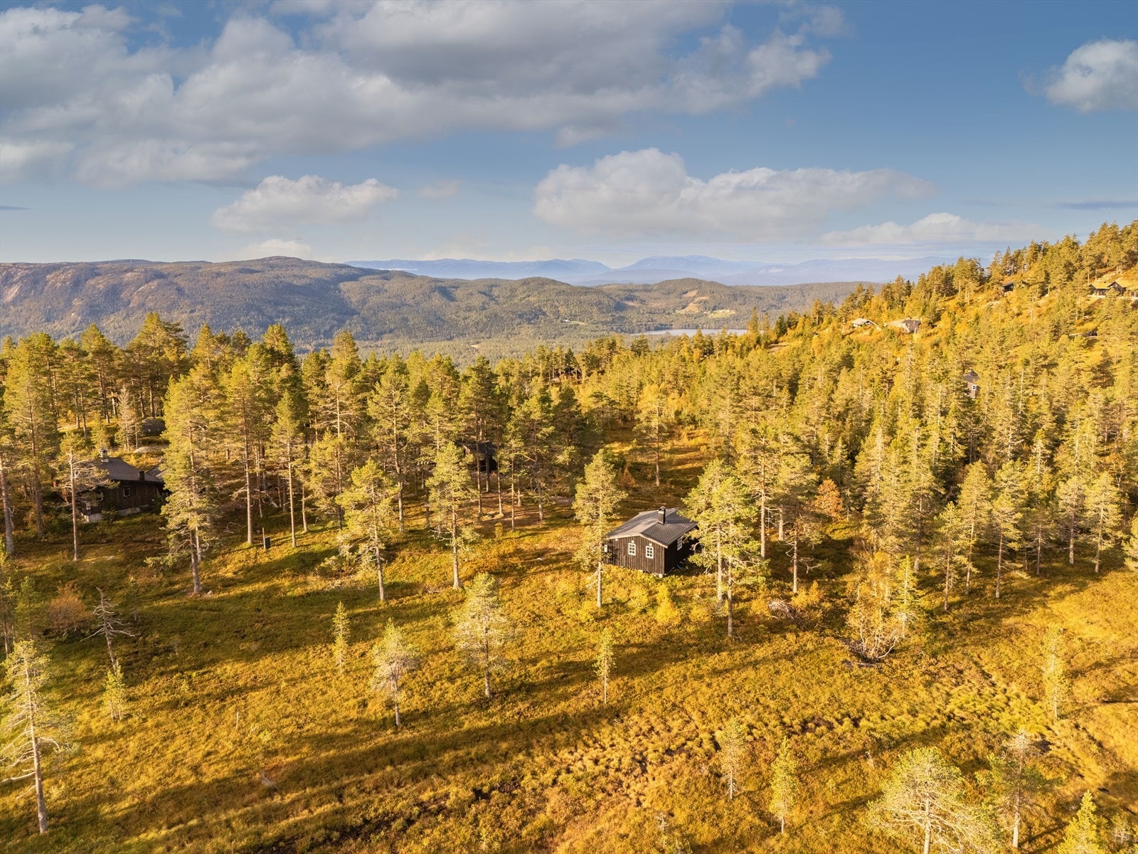 På vinterstid passerer skiløypene rett nord for hytta Galleribilde