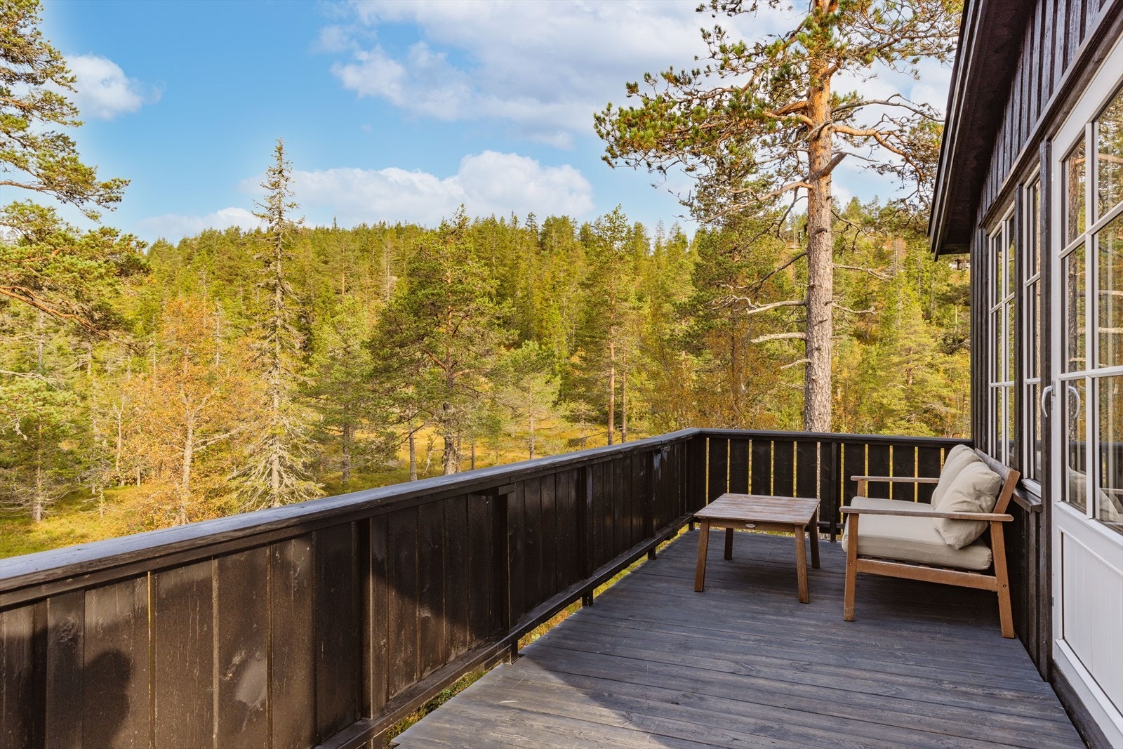 Stor vestvendt terrasse med direkte utgang fra stuen Galleribilde