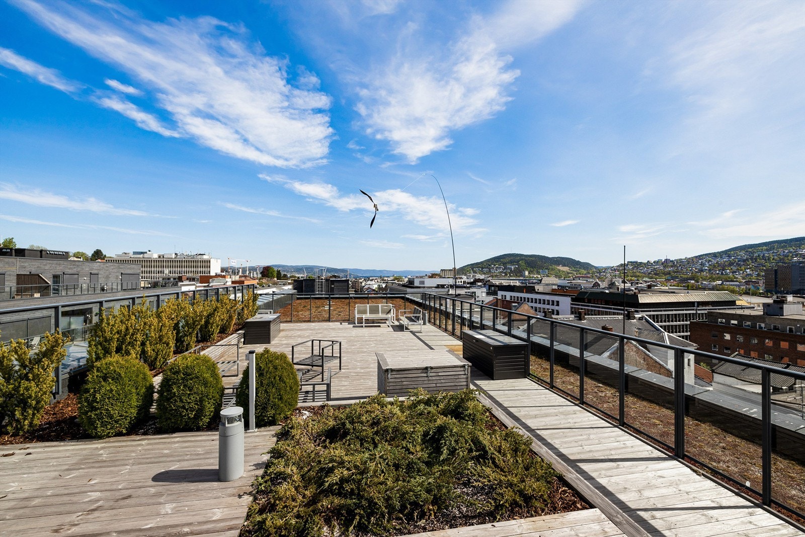 Felles takterrasse. Galleribilde
